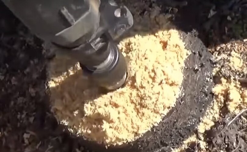 Долой пни: ленивый, но эффективный способ избавиться от нежелательных остатков деревьев