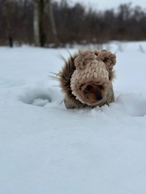 ������ ����, ����������!. �������, 17 �������, � ��������� ��������� �������� ������