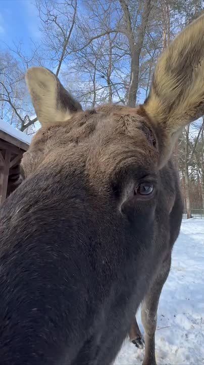 ��������� ������ ��������� ��������-���� �� ������������� ��������