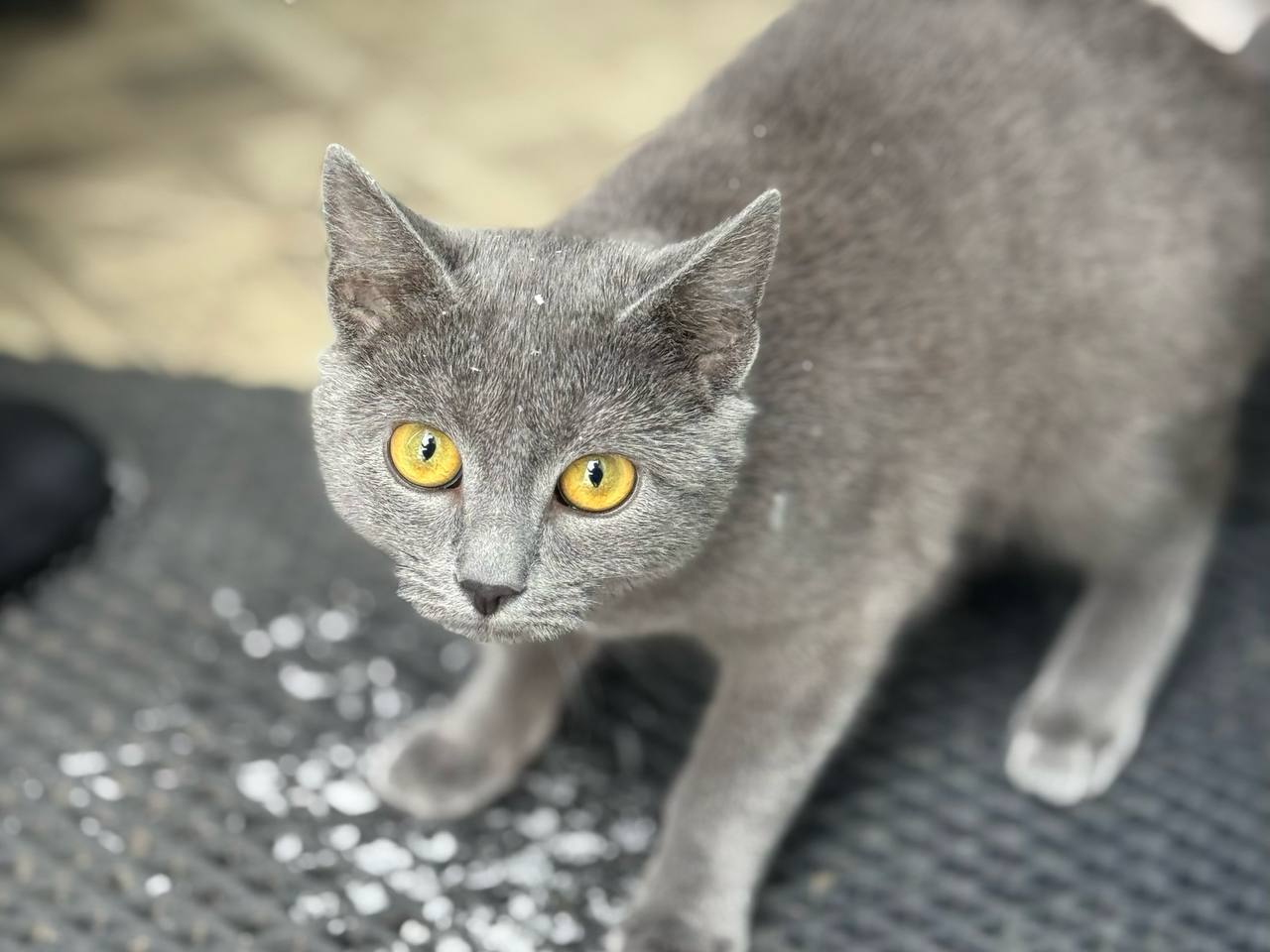 Татьяна Круглякова: Рабочий день провела на территории Ясных Зорь Татьяна Круглякова: Рабочий день провела на территории Ясных Зорь