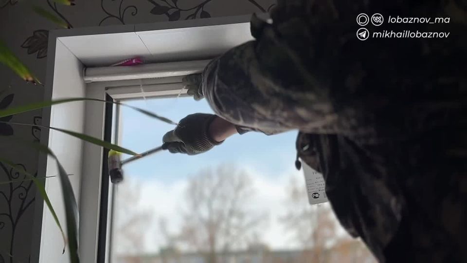 ������ ��������: ������ ����������� � ���� ����������������� ����� ����� ����� ��������� ������������� 2 �������