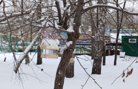 ����� ����� ������ � ������� 2026 ����