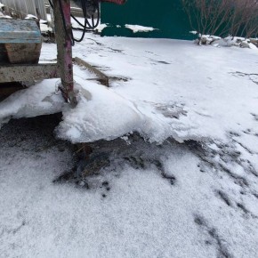 ������� ���������: ������ ����, ������� ���������!