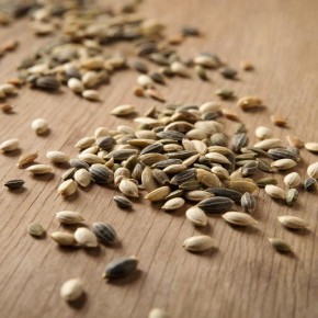 ������ ��� ����������� �����: ��� ����� �������� ��� ������