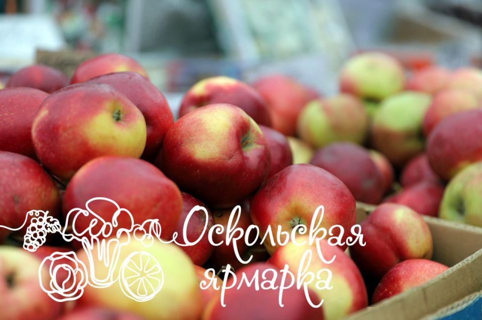 ���������� ������� � ������ ������!