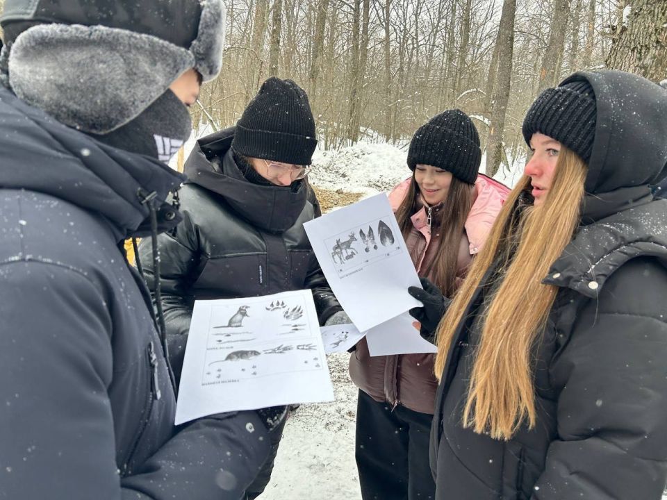 ������������ ��������� ������� ������� � �������� ����������� � ��������� ���������� �������