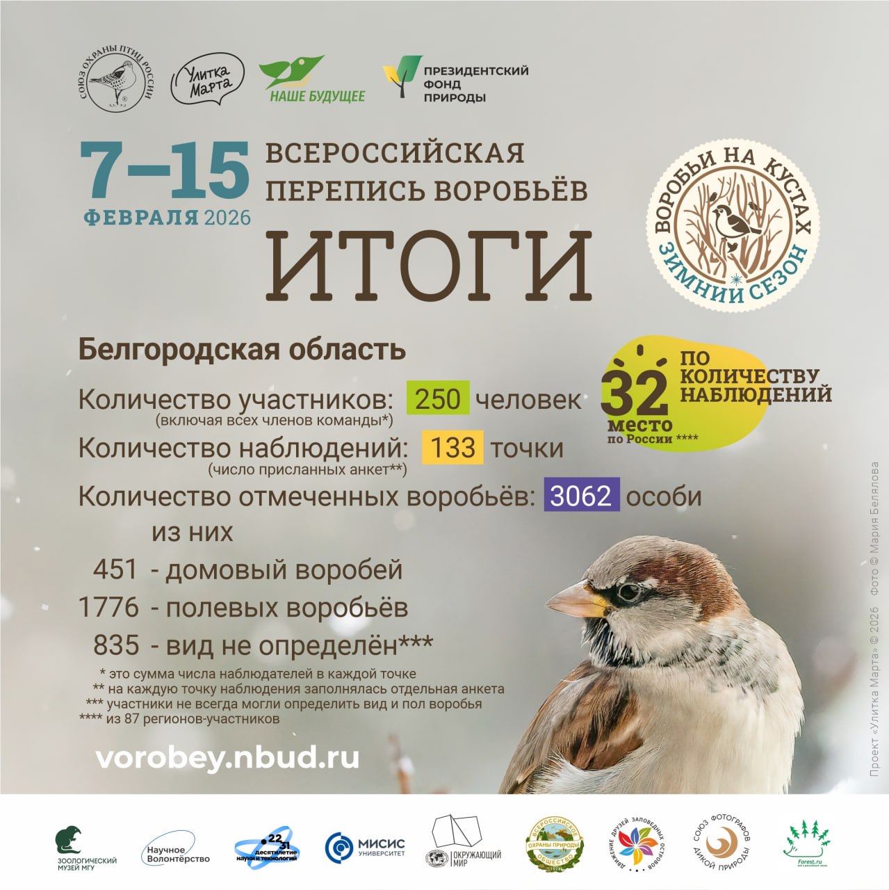 Воробьи под прицелом: В Белгородской области пересчитали пернатых соседей