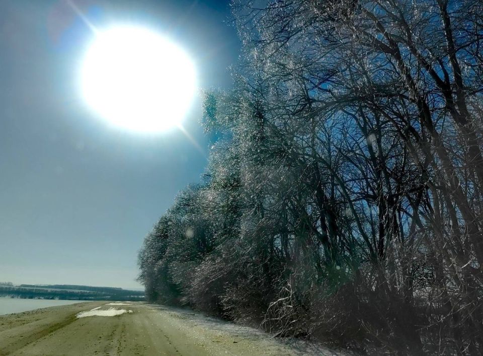 ����� ����������: ������������ ����������� �