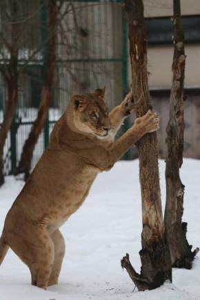 ���������� ������ ������� �� ���������� ����!