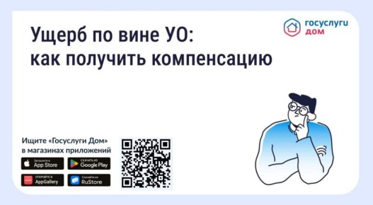 ����� �� ���� ����������� �����������: ��� �������� �����������