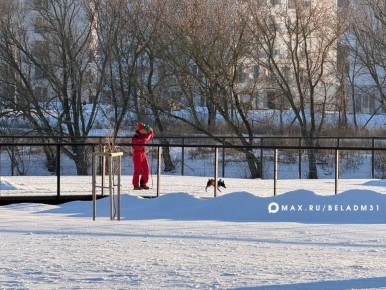 Доброе утро!. 22 февраля в Белгороде малооблачно, без осадков, замерзающий туман