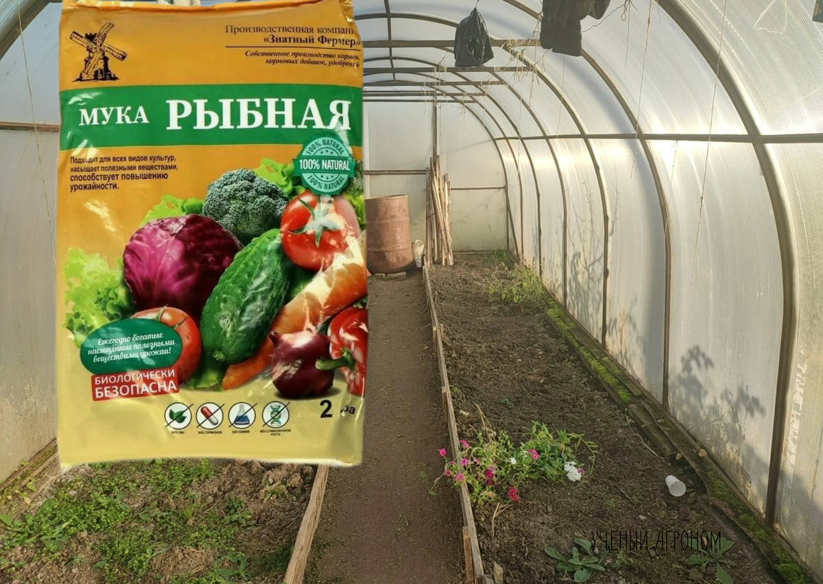 Рыбная мука в саду: секреты эффективного применения
