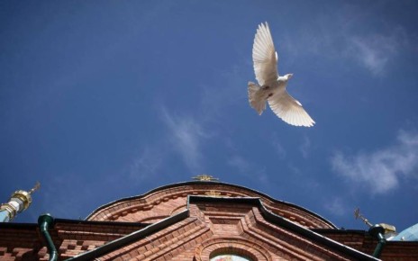 ���� ��������: ����������� ������, ��� � ������, ����������� ������� ���������� � �������� ������������