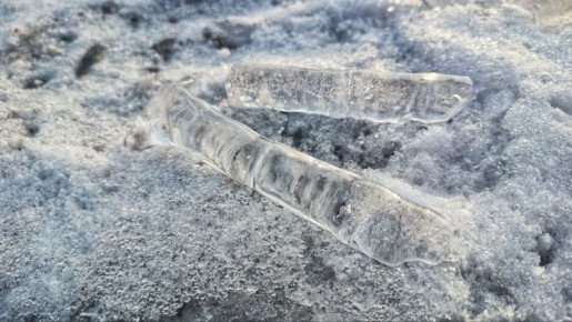 � �����������, 22 �������, ����� ������� � ������������