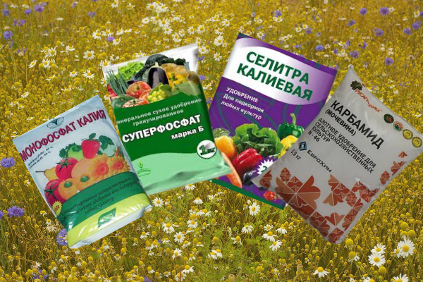 Три ключевых компонента для успешного удобрения