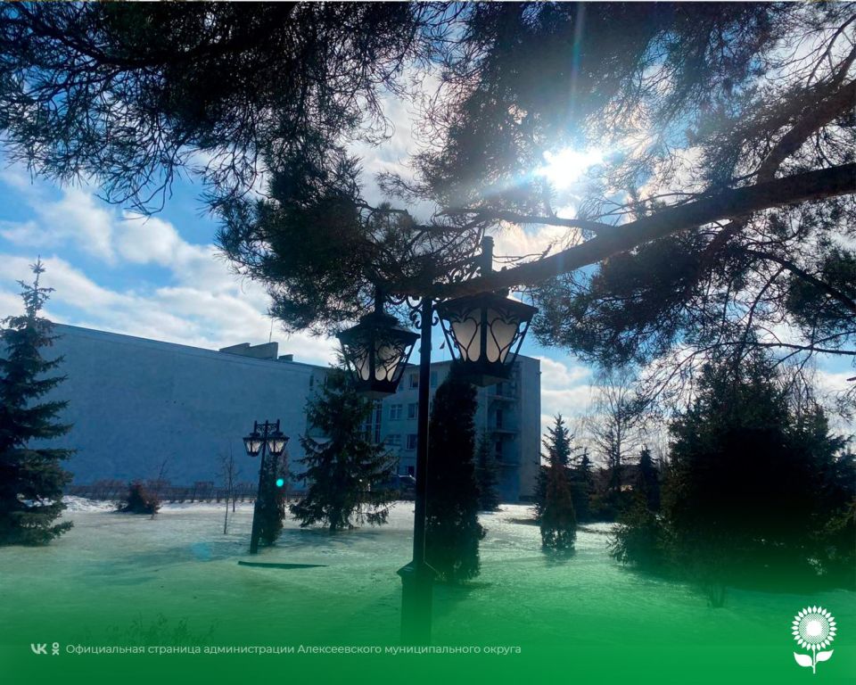 23 февраля. Температура воздуха -1 +1°C, небольшой снег