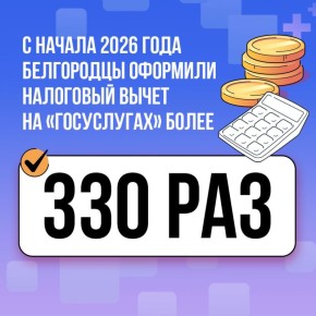 С начала 2026 года жители региона оформили налоговый вычет на «Госуслугах» 337раз
