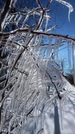 С добрым утром, шебекинцы!