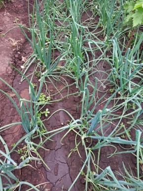 ��������� ��������: ��� ��������� ������ ���� � ������������ ���������