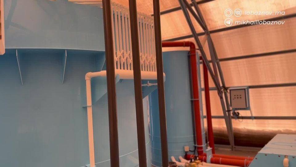 ������ ��������: ��� ������ ������� ������������ �������, ������� ������ �������� � ��������� ��� ����, �������� � ����� ����������������� ���������