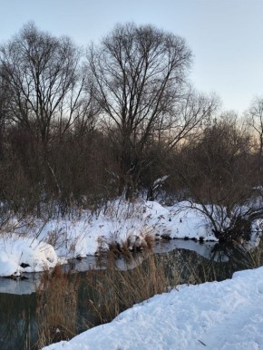 Доброе утро, белгородцы!. Сегодня синоптики прогнозируют лёгкое потепление