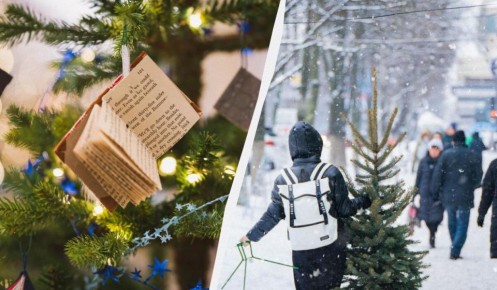 ����� ������� ����: ������� � ������ ��� ������������ �������