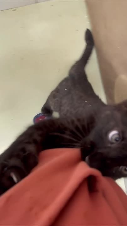 ������ �� ������ �� ������������� ��������!