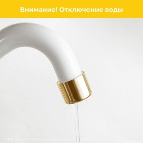 ��������� ������ �. �����������!