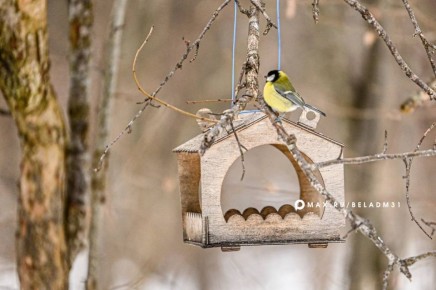 ������� ��������, �������� ������ � ���� ������� �����