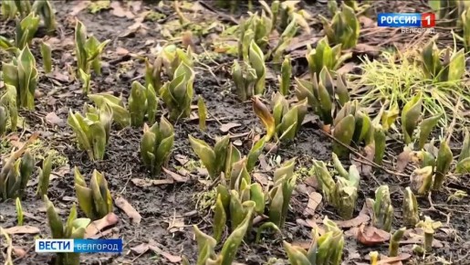 �� ����������� ����� � ��� ���! ������ ����� ������ ���������� ���� �������