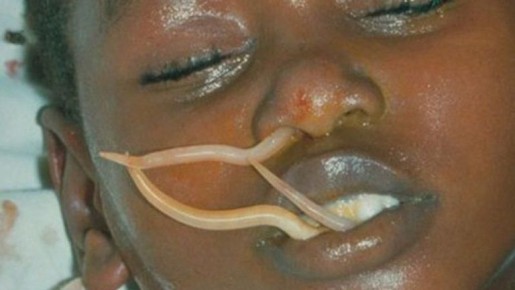 ��� �������� ��������� �����������: ������ ���������� ��� ��������� � ��������