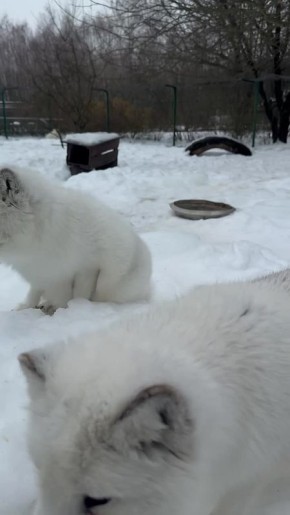 � �� �����, ��� � ������������ �������� ���� ����� ����� ���������?