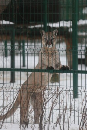 ������ 26 �������. ������� ��������� ������� ��������� ������