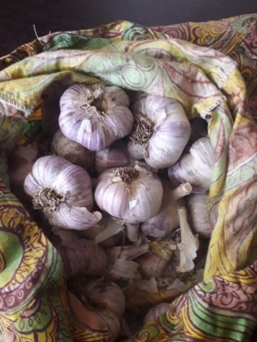 ��������� � �����: ��� ��������� ������������ ����������� ��������� ��� ������� �������