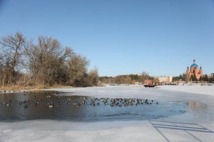 ������ ����, ���������! ������� ������� � ���������� ������� ������