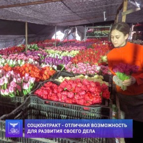 ������ �������: ��������� �������� ������ ��������� ��������� ���������� �������������� ��������� ����������� �� ��������� ����������� ���������