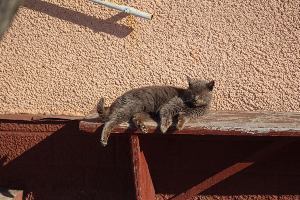 ������ 27 �������. ������� ��������� ������� ����� ������