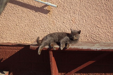 ������ 27 �������. ������� ��������� ������� ����� ������