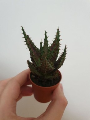 ����� ����� ����: ��� ��������� ������ ������� ����������