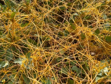 ��� ���� ����� ����: ��� ������������ �������� �������� ����� ��������� � ��� � ��� ������