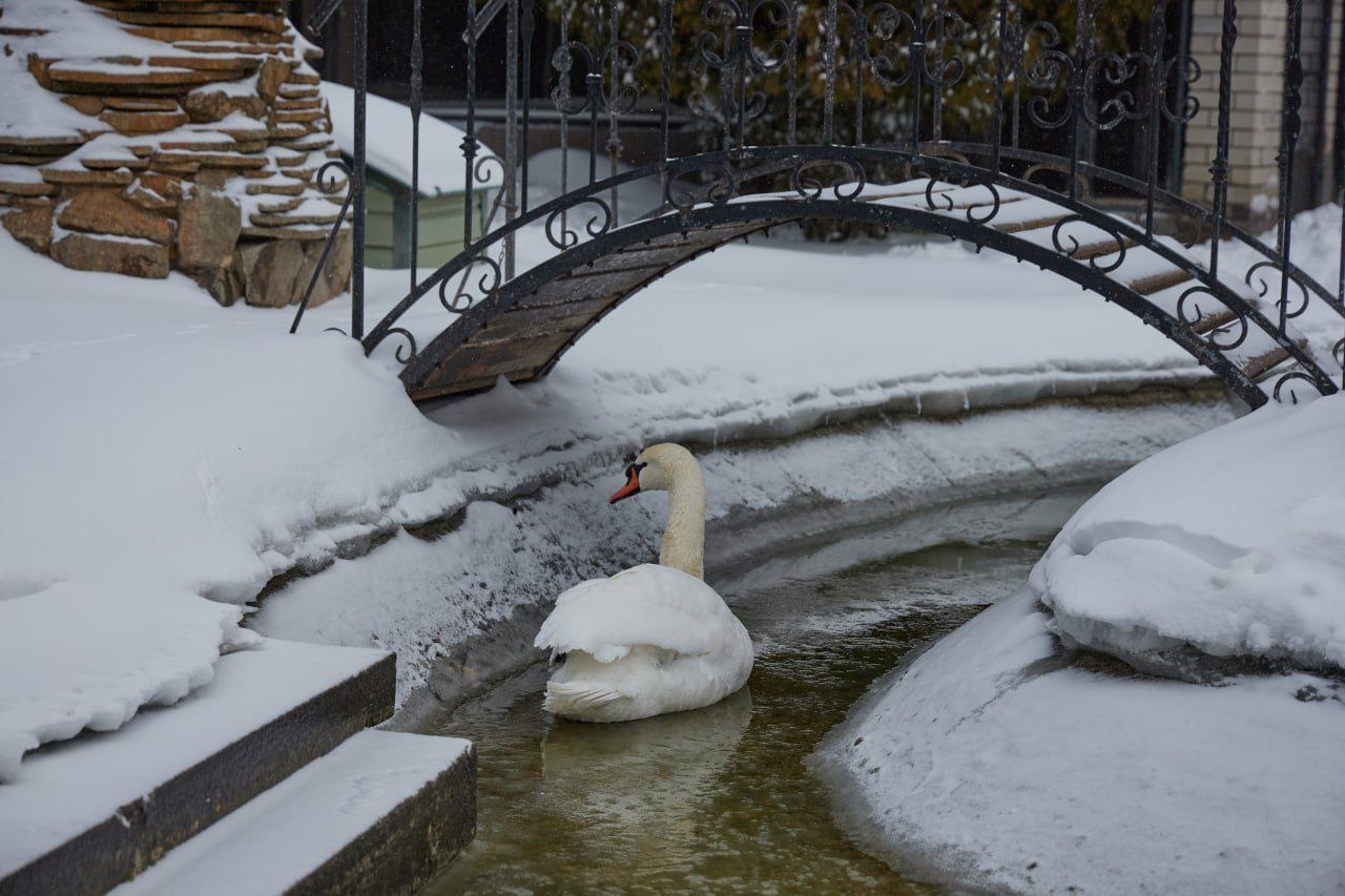 Друзья, чувствуете? Завтра весна! Друзья, чувствуете? Завтра весна!