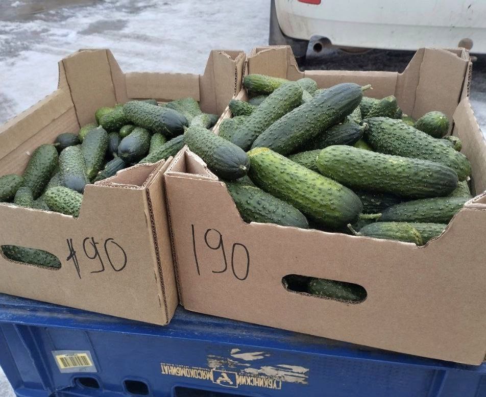 Андрей Миськов: Состоялась очередная ярмарка выходного дня Андрей Миськов: Состоялась очередная ярмарка выходного дня