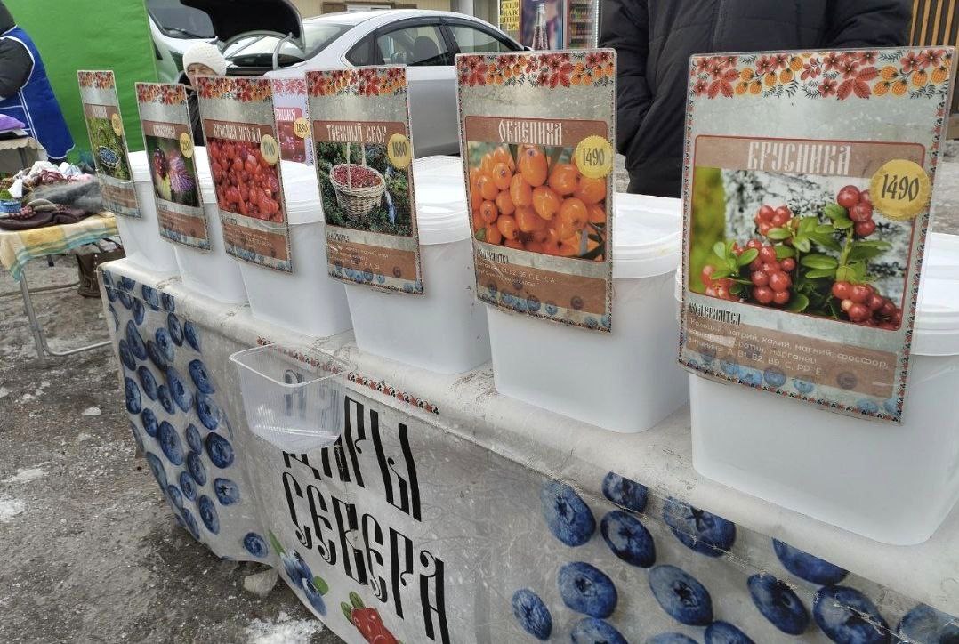 Андрей Миськов: Состоялась очередная ярмарка выходного дня Андрей Миськов: Состоялась очередная ярмарка выходного дня