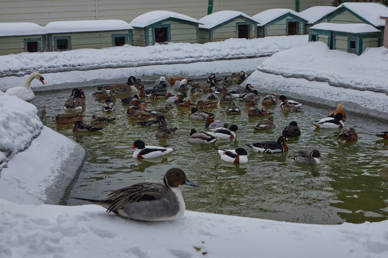 Друзья, чувствуете? Завтра весна! Друзья, чувствуете? Завтра весна!