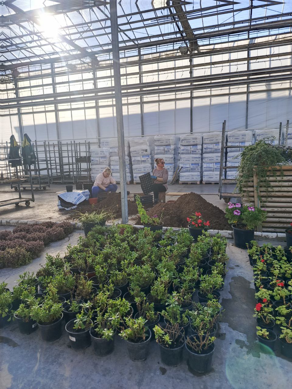 Общественная палата Белгорода взяла шефство над городской теплицей Общественная палата Белгорода взяла шефство над городской теплицей