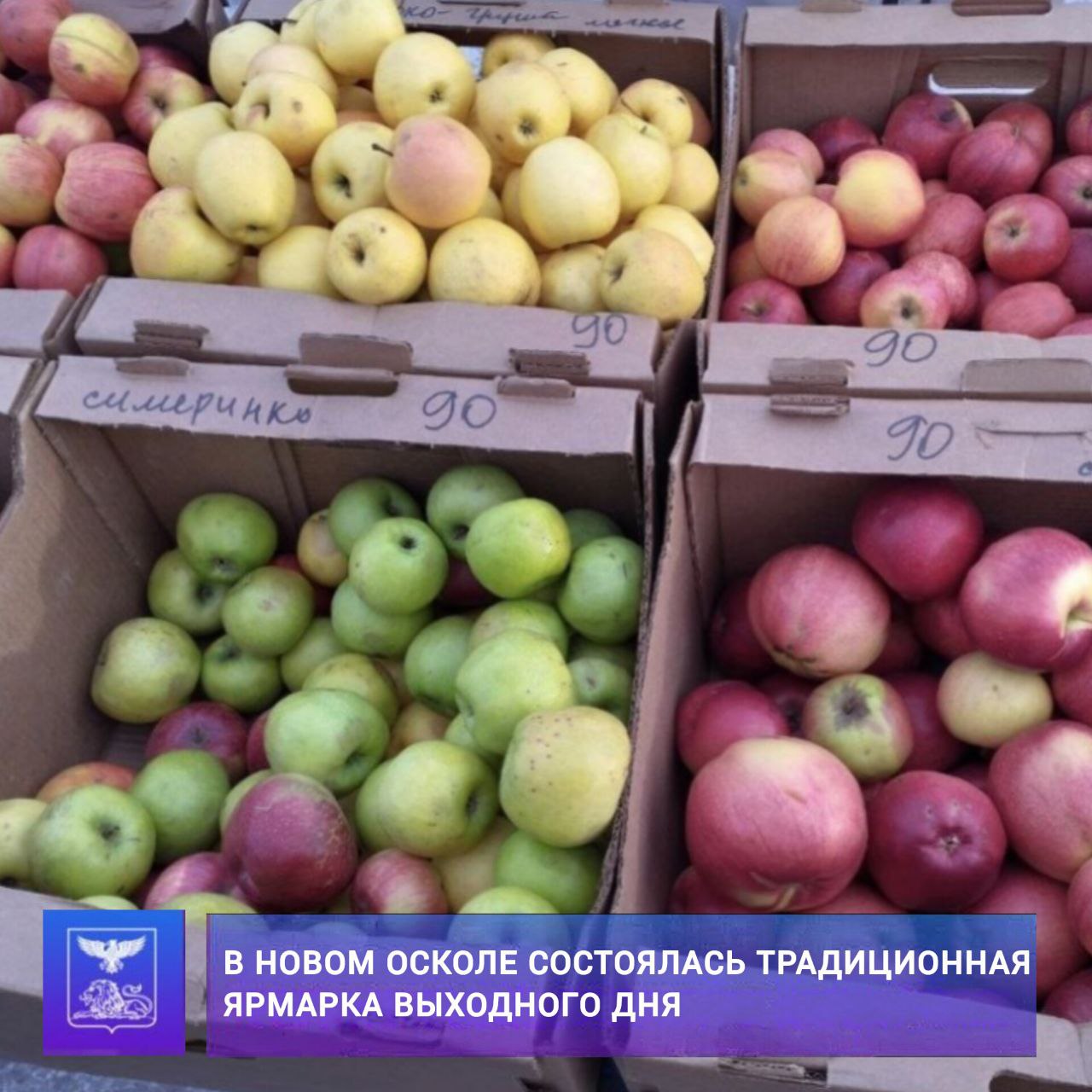 Андрей Миськов: Состоялась очередная ярмарка выходного дня