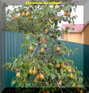 �����: ������� ��������� ����� �� ������� � ����� ����