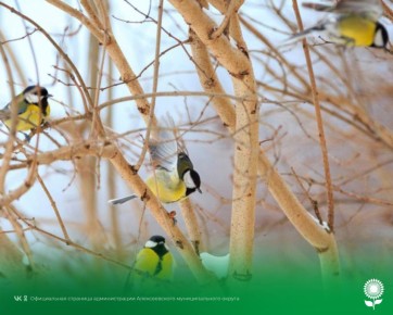 28 �������. ����������� ������� 0�C, �������, ��� �������