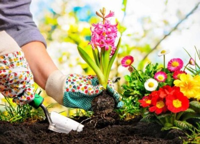 ��� ������ � ���� �������� ������� ������� � ��������� ��������