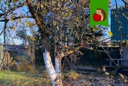 ��� ����������� �������� ������� � ����: ��� essentielles ���������